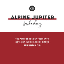 Alpine Juniper Glam Mini Tin Candle