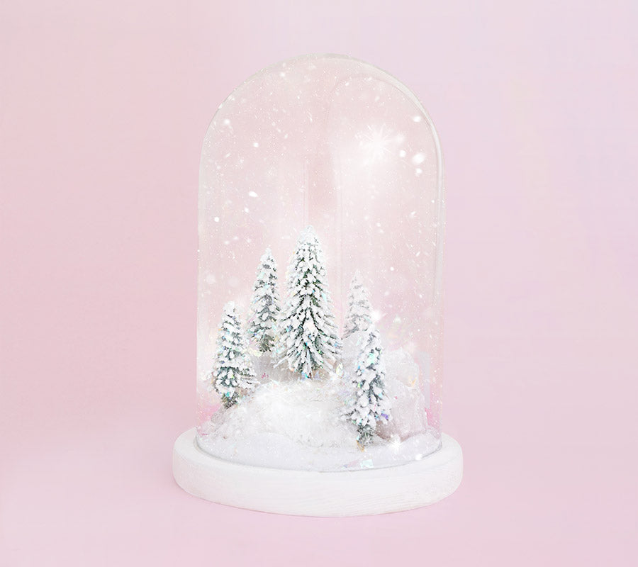 A snow globe with frosted pine trees