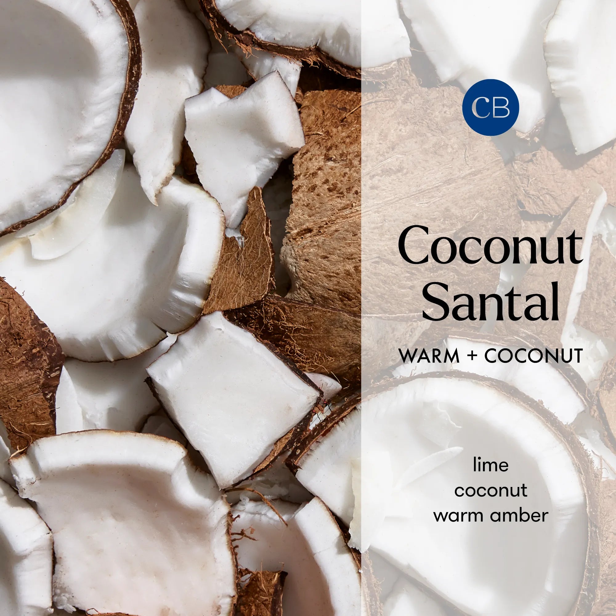 Coconut Santal Blue Petite Candle view 2
