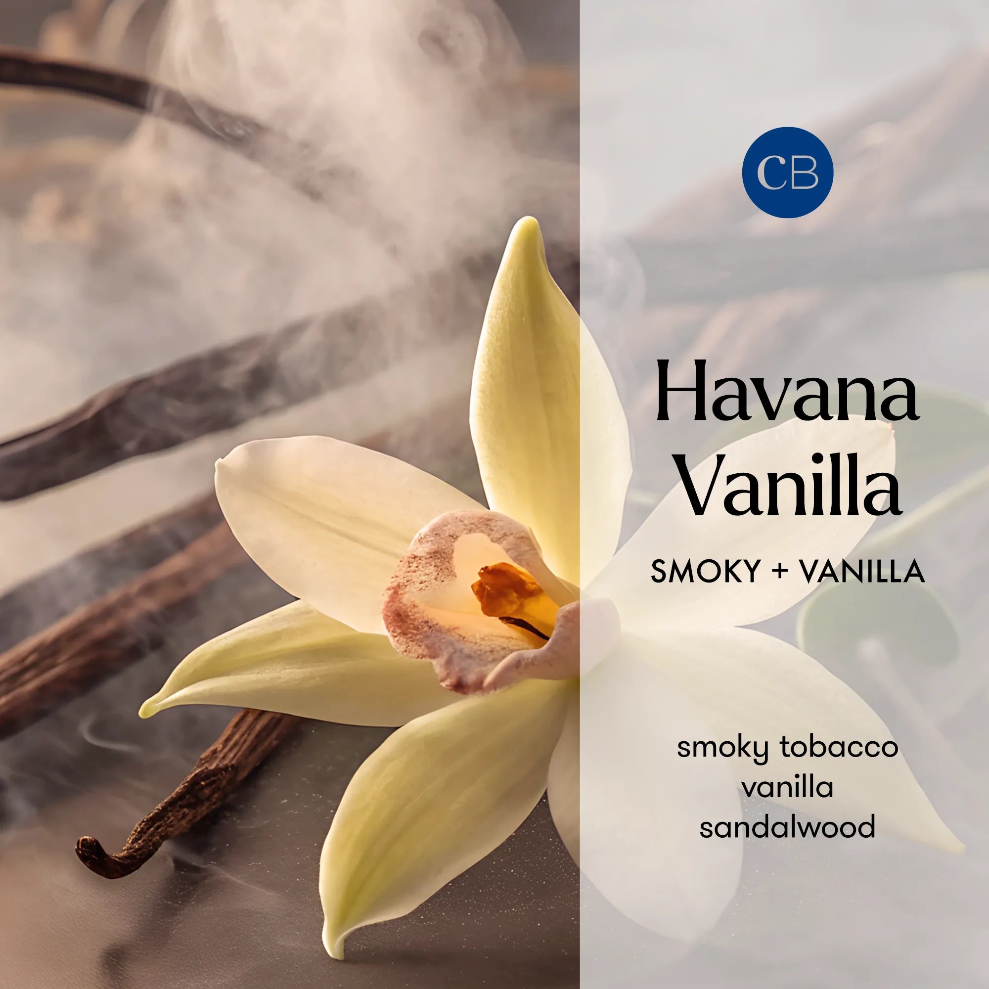 Havana Vanilla Blue Petite Candle view 2