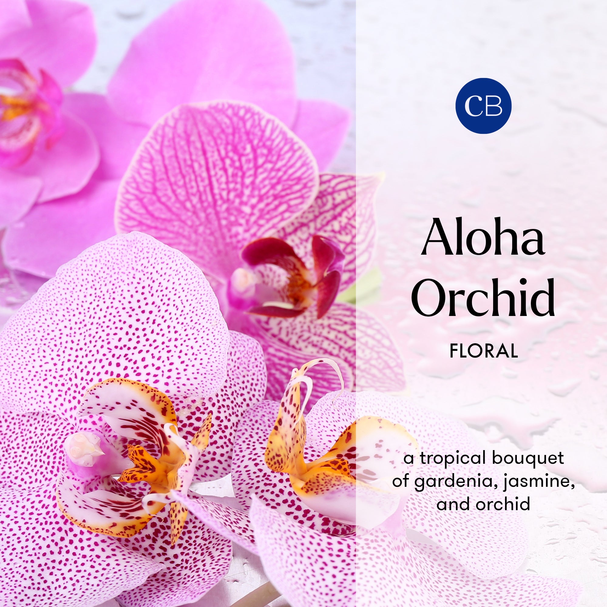 Pink orchid flowers with a brand logo and product description on a white background