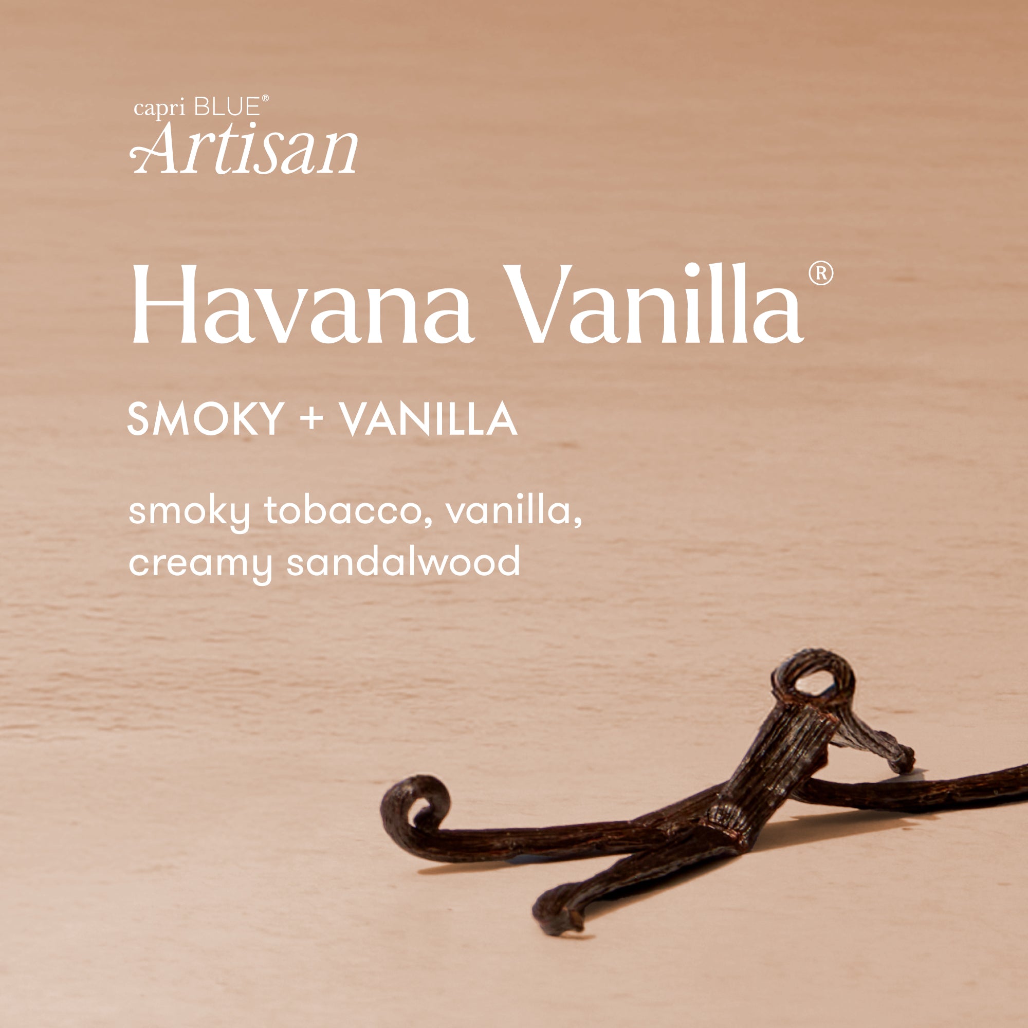 Caffè Capri Signature Candle - Havana Vanilla | Capri Blue