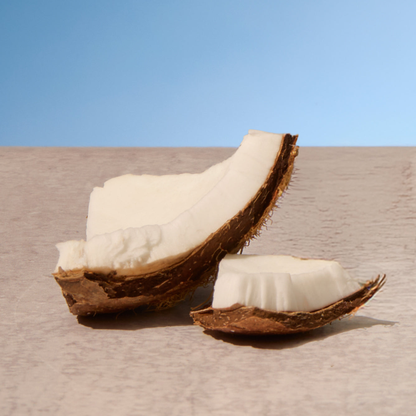 Coconut halves with white flesh on a neutral background
