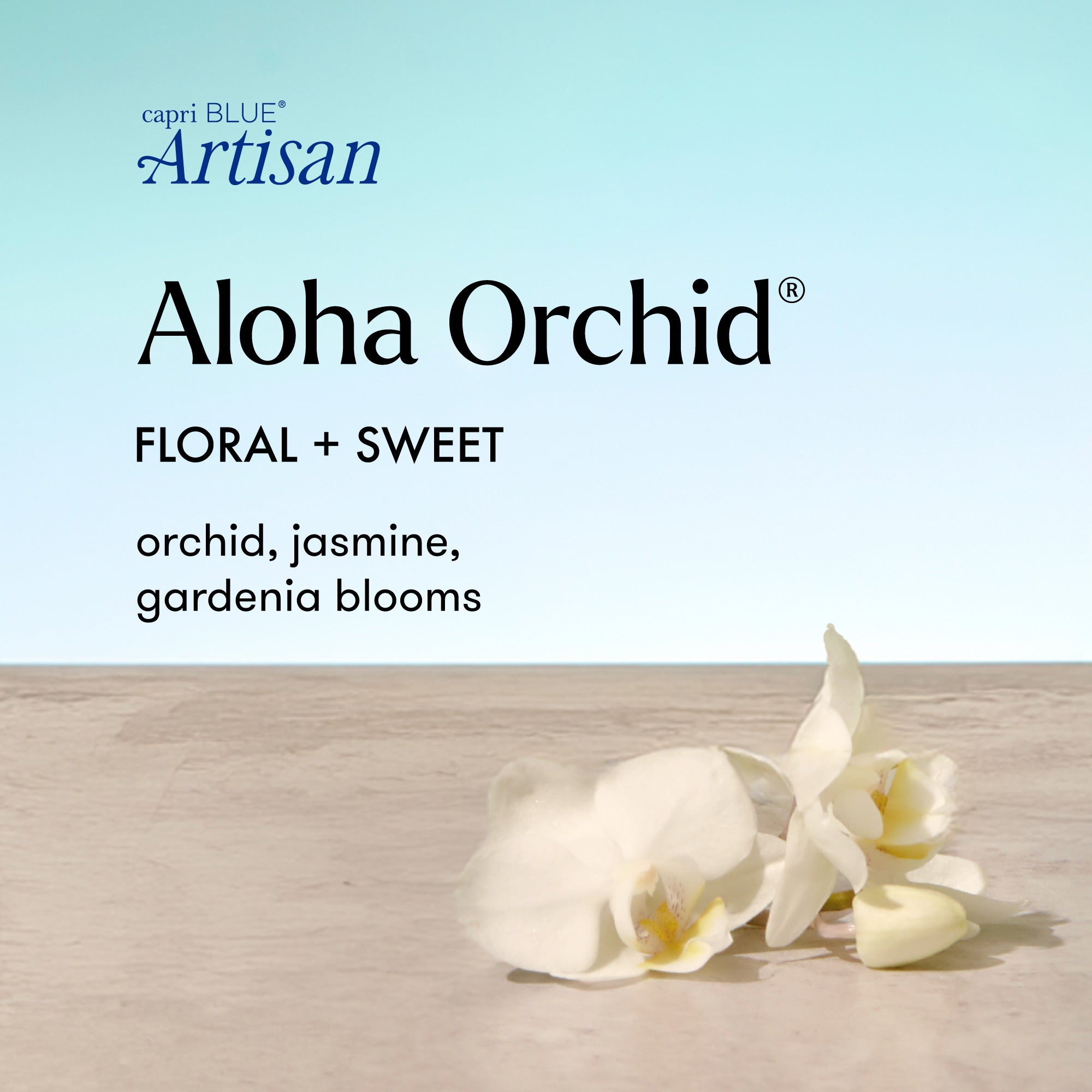 Advertisement for capri BLUE Artisan Aloha Orchid with white orchids on a light wooden surface.