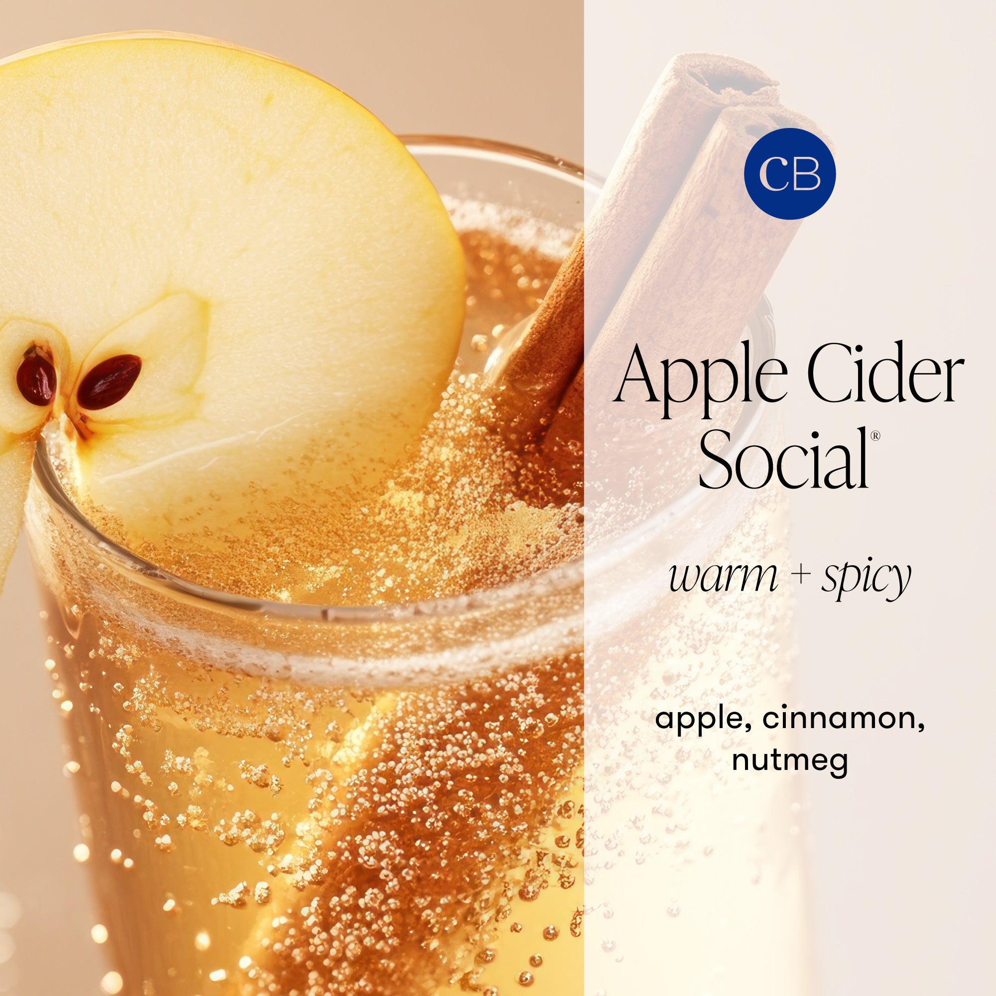Apple Cider Social Glimmer Hand Wash