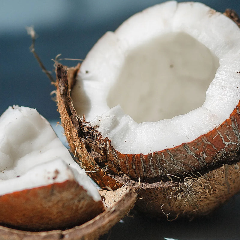 Close-up of a halved coconut with white flesh and brown outer husk, with a second coconut piece beside it on a dark blue background.
