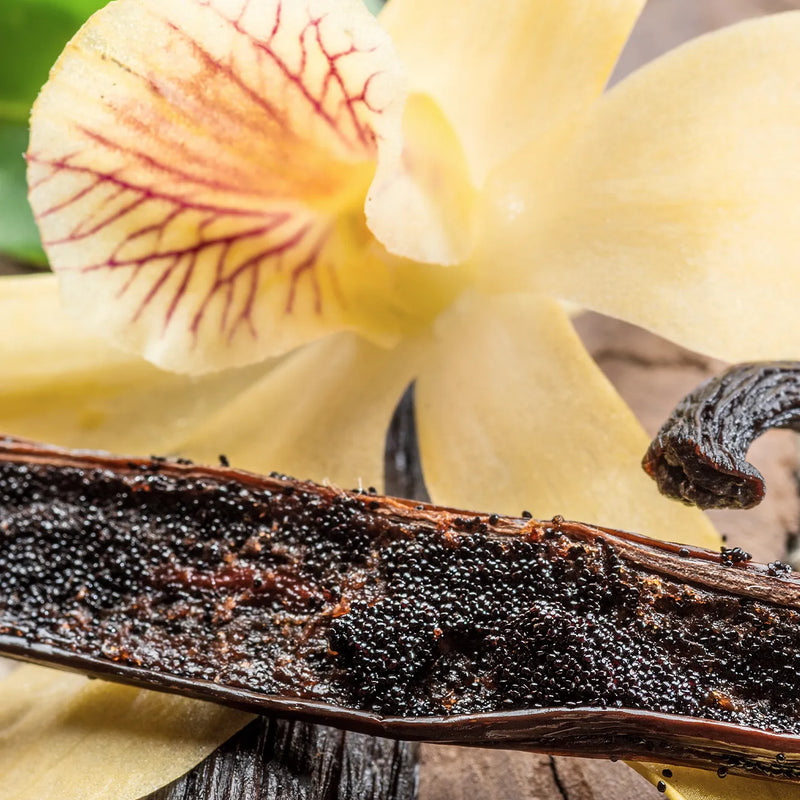 A close-up of a vanilla bean pod split open, showing dark brown seeds, with pale yellow vanilla flowers in the background.
