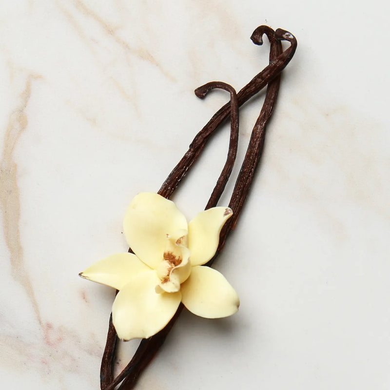 A dark brown vanilla bean with a cream-colored vanilla orchid flower accent, displayed on a light marble surface.