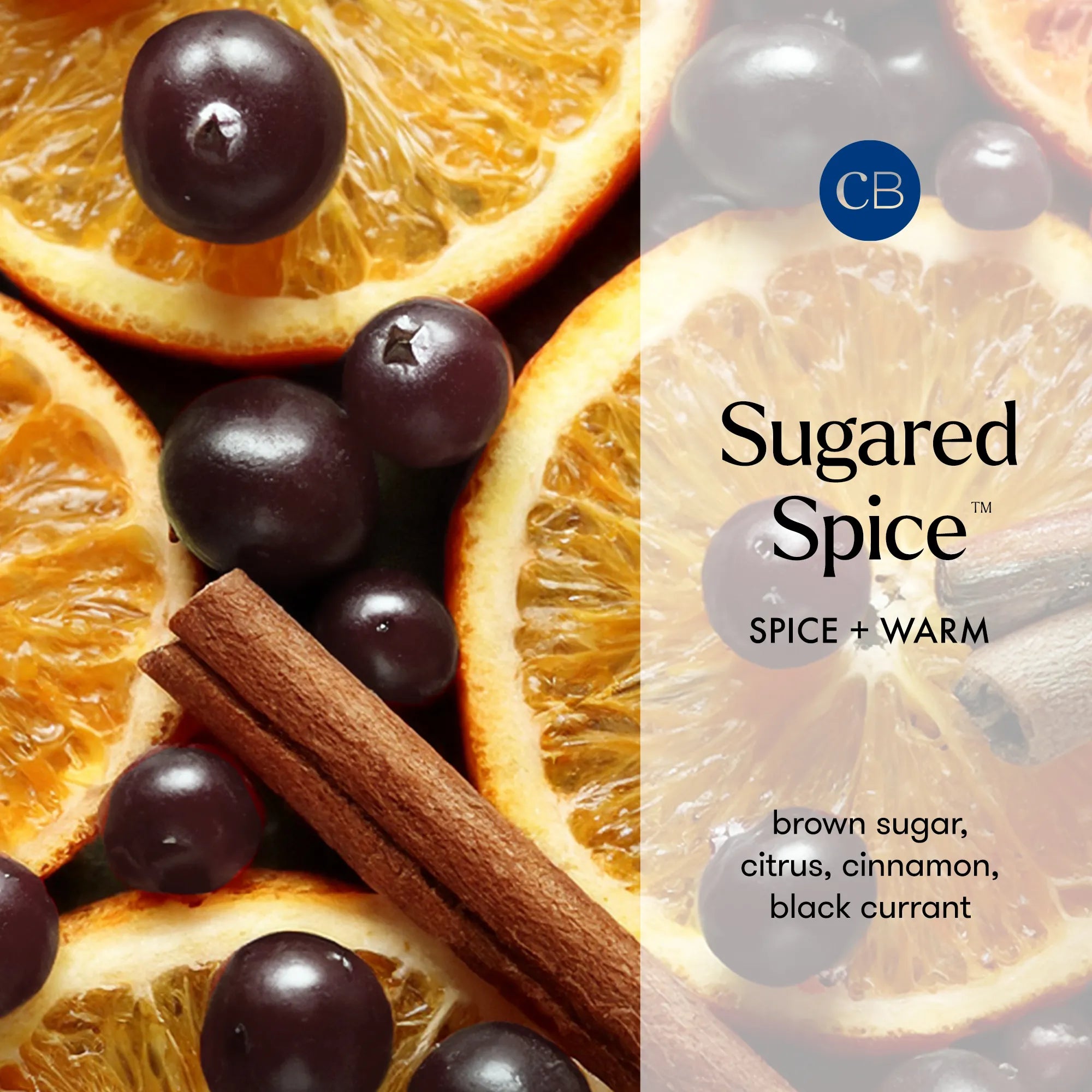 Sugared Spice Royal Gem Petite Candle