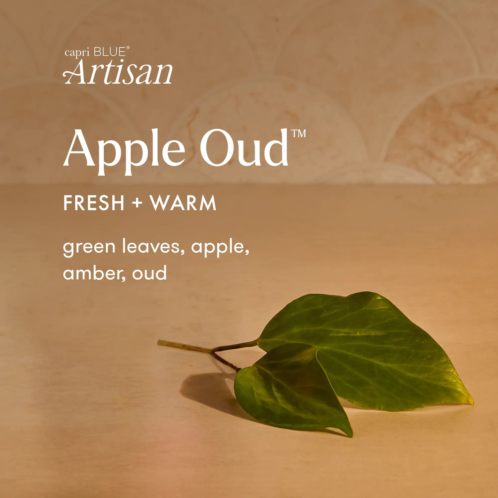 Apple Oud Tuscan Radiance Petite Candle