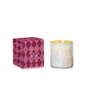 Tinsel & Spice Winter Bazaar Boxed Tumbler Candle