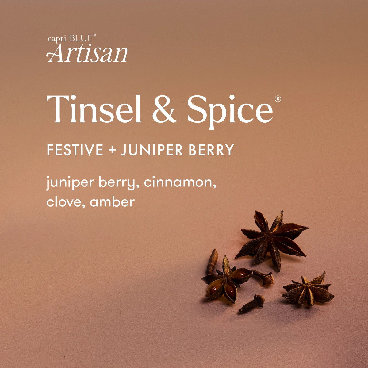 Tinsel & Spice Winter Bazaar Boxed Tumbler Candle